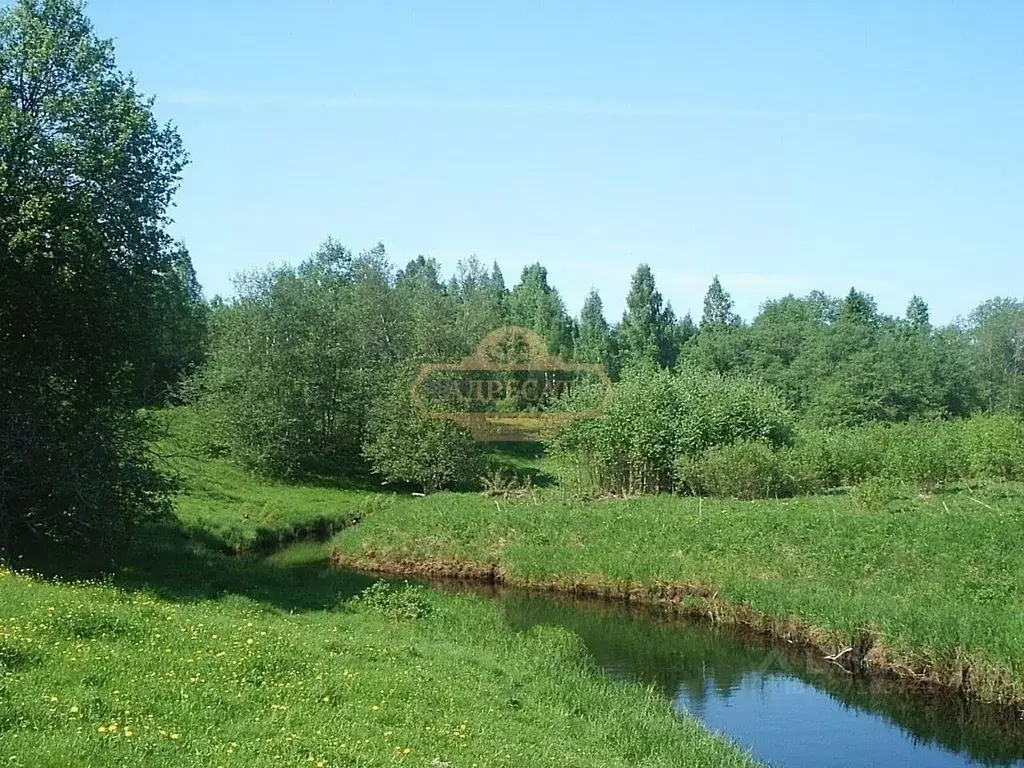 Участок в Ленинградская область, Тосненский район, Лисинское с/пос, д. ... - Фото 2