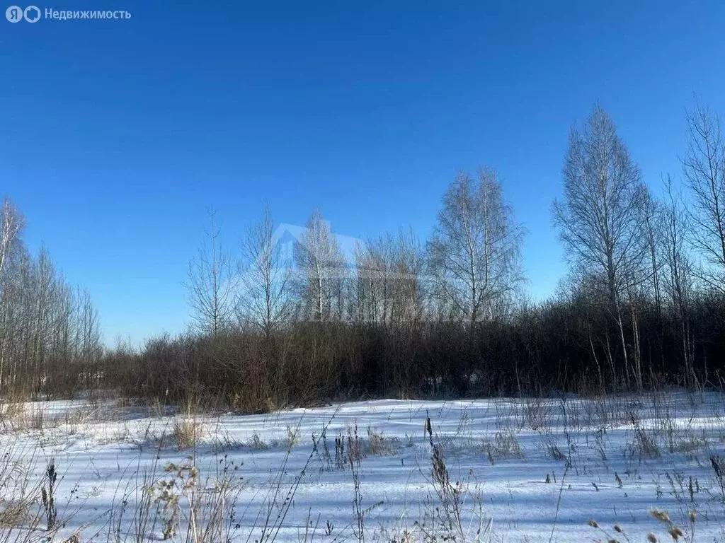 Участок в Тюменский район, село Яр (6 м) - Фото 0