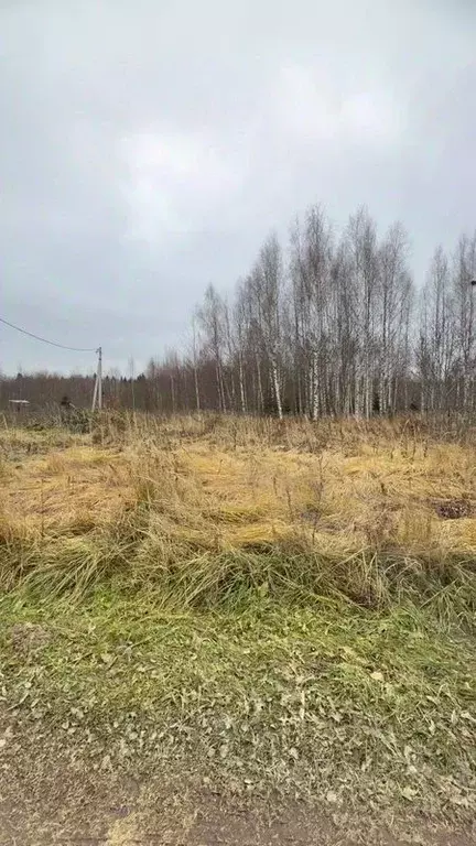 Участок в Московская область, Сергиево-Посадский городской округ, д. ... - Фото 1