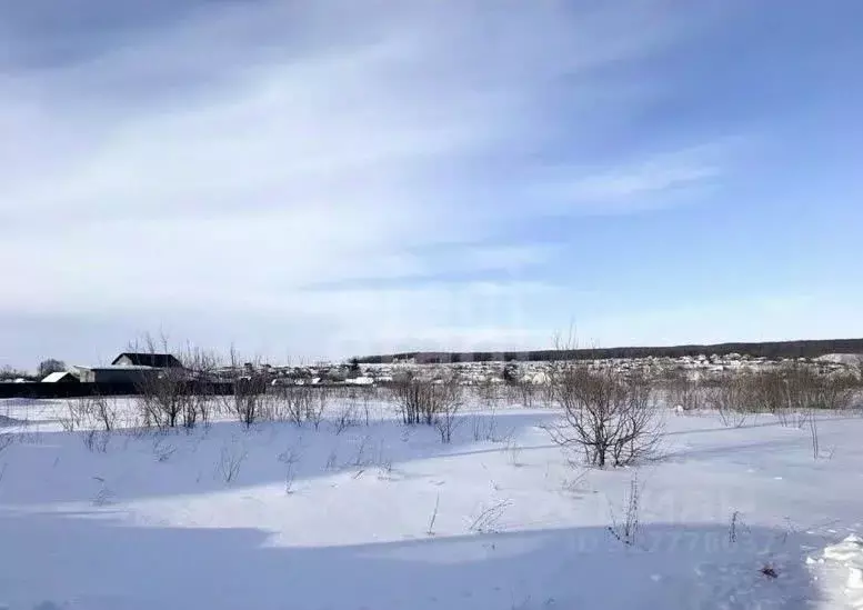 Участок в Мордовия, Лямбирский район, с. Берсеневка  (12.7 сот.) - Фото 2