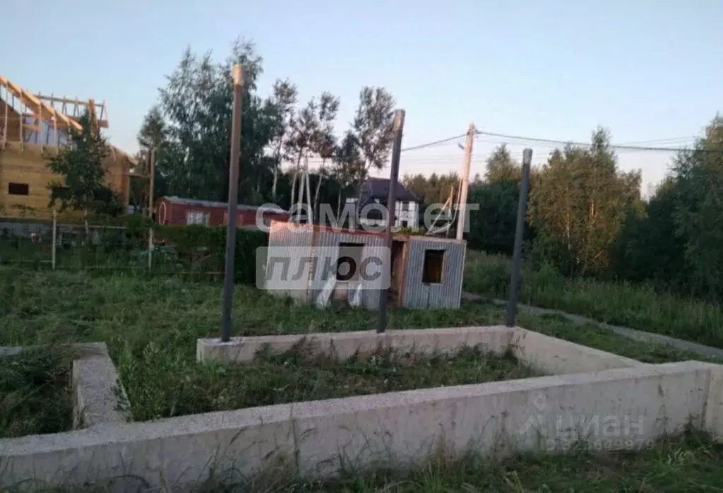 Участок в Московская область, Дмитровский муниципальный округ, д. ... - Фото 2