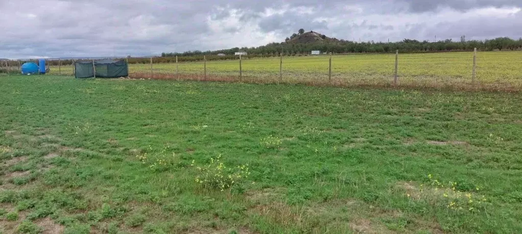 Участок в Крым, Бахчисарайский район, с. Красный Мак ул. Кирова (310.0 ... - Фото 1