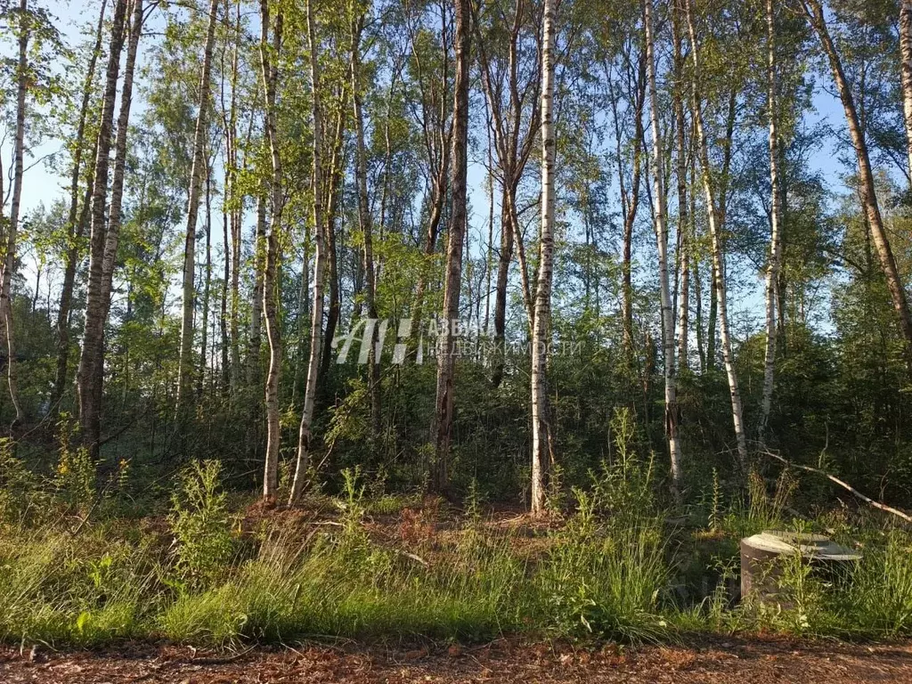 Участок в Московская область, Химки городской округ, Дачной застройки ... - Фото 1