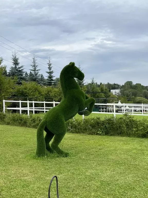 Участок в Московская область, Истра муниципальный округ, д. Мансурово  ... - Фото 1