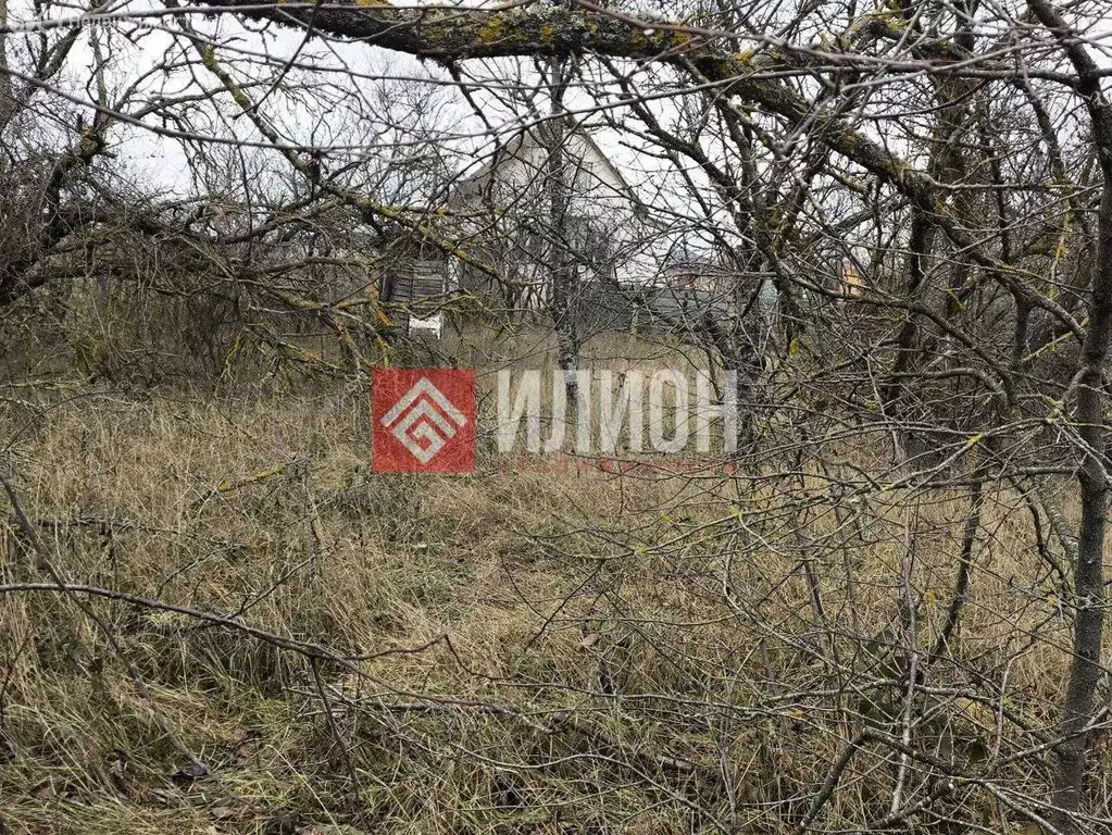 Участок в Урожайновское сельское поселение, ОК СТ Крымсовхозвинпром, ... - Фото 1