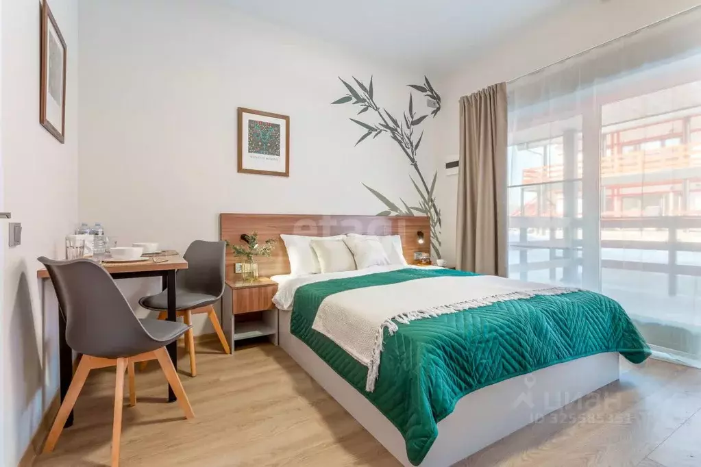 Студия Калужская область, Боровский муниципальный округ, д. Совьяки  ... - Фото 1