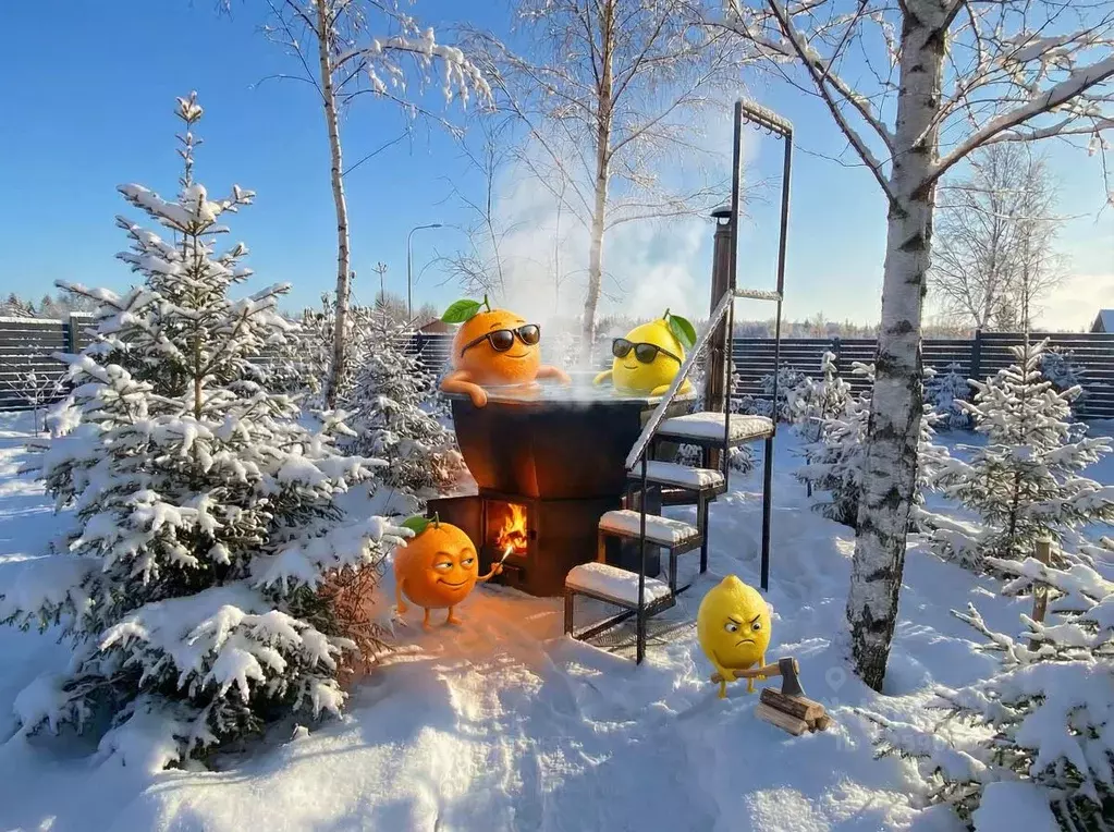 Дом в Московская область, Клин городской округ, д. Решоткино  (104 м) - Фото 1