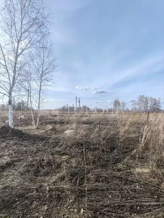 Участок в Алтайский край, Первомайский район, с. Фирсово ул. Ивана ... - Фото 1