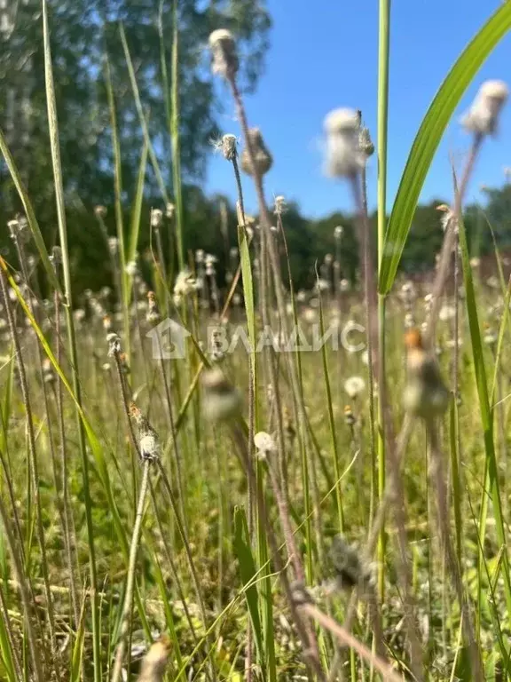 Участок в Татарстан, Лаишевский район, Рождественское с/пос, д. ... - Фото 1