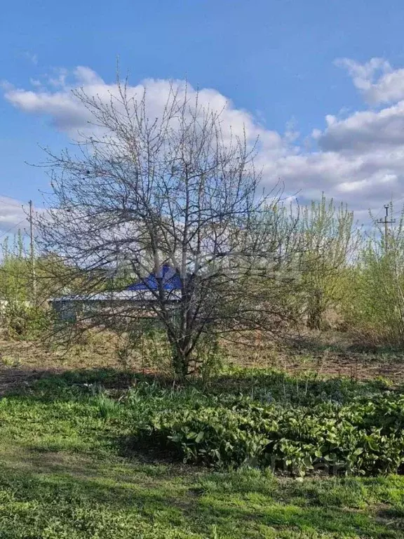 Участок в Алтайский край, Барнаул ул. Газобетонная (9.0 сот.) - Фото 1