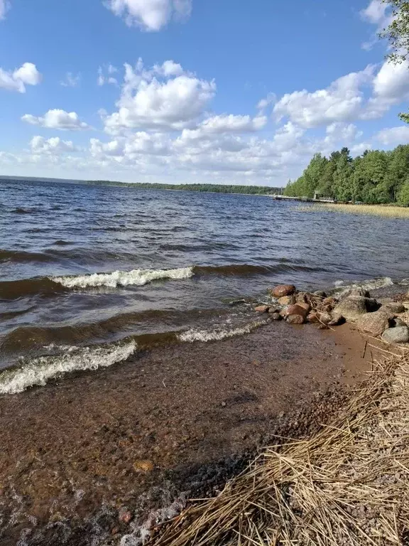 Дом в Ленинградская область, Приозерский район, Плодовское с/пос, ... - Фото 1