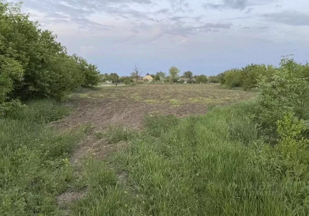 Участок в Ростовская область, Азовский район, Круглянское с/пос, с. ... - Фото 1