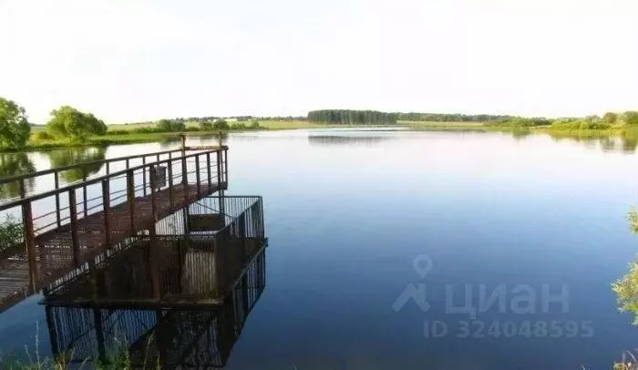 Участок в Калужская область, Бабынинский муниципальный округ, ... - Фото 2