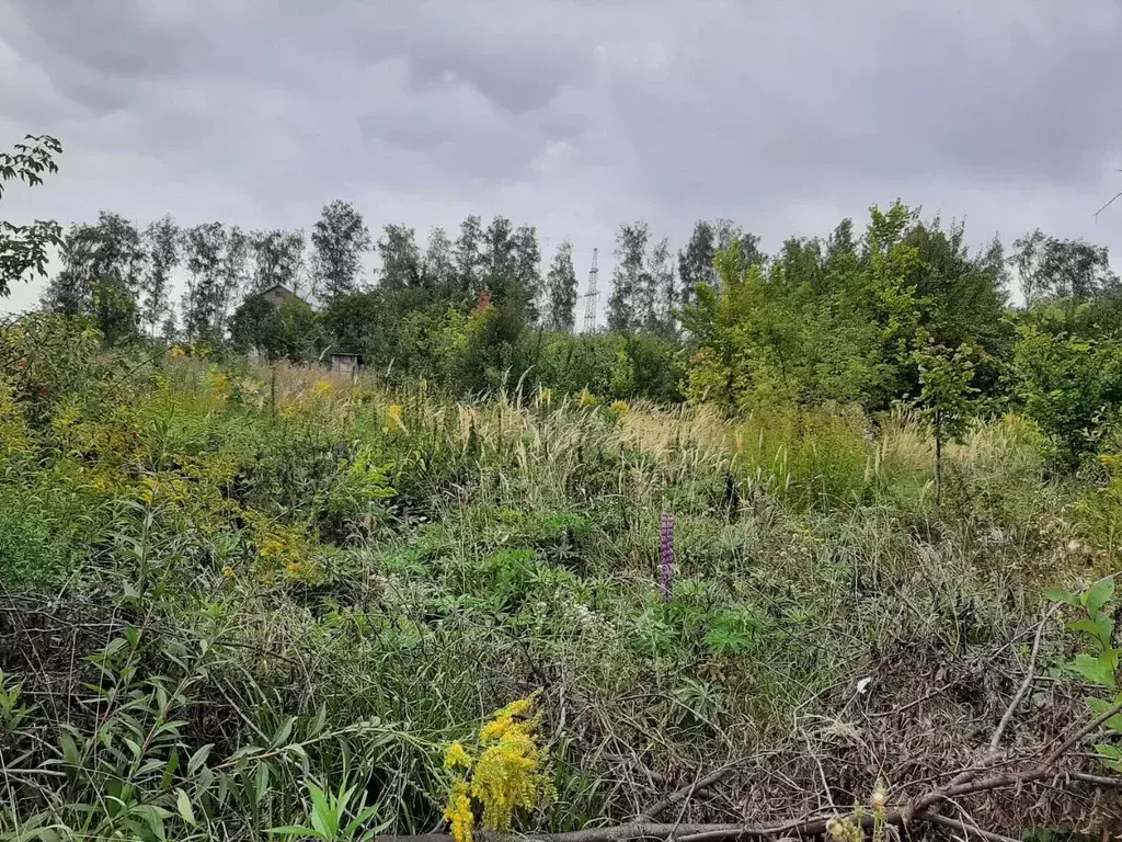 Участок в Тамбовская область, Тамбовский муниципальный округ, Ветеран ... - Фото 2