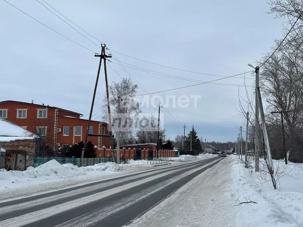 Участок в Омская область, Омский район, с. Красноярка Октябрьская ул., ... - Фото 0