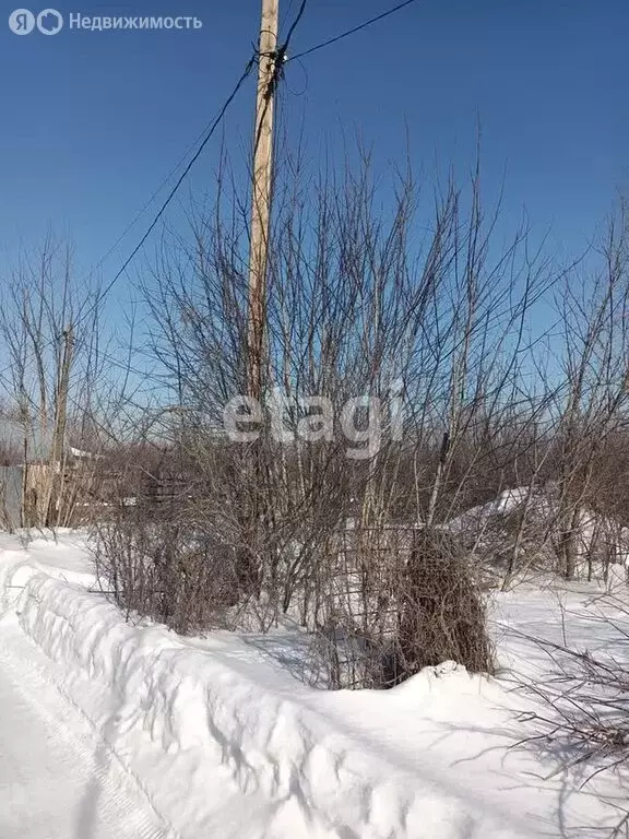 Участок в Оренбург, СТ Русь (8 м) - Фото 1