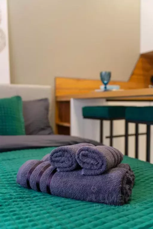 1-к кв. Краснодарский край, Сочи ул. Ленина, 290/6 (17.0 м) - Фото 1