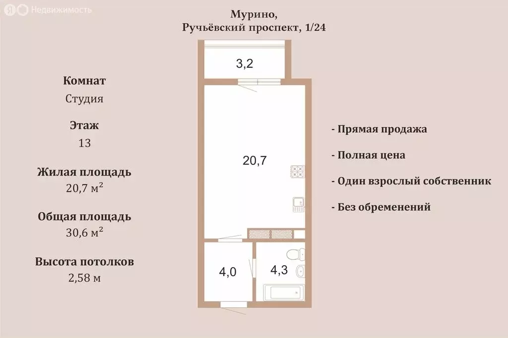 Квартира-студия: Мурино, Ручьёвский проспект, 1/24 (30.6 м) - Фото 1