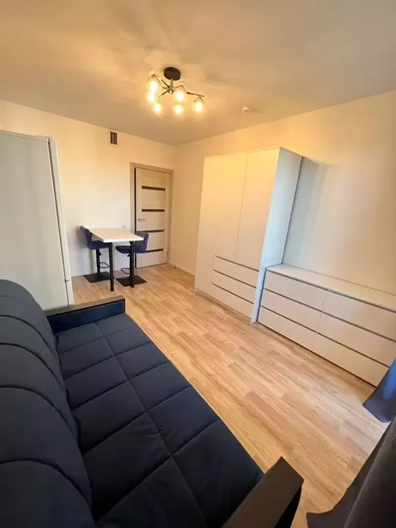 1-к кв. Санкт-Петербург наб. Реки Каменки, 23 (21.0 м) - Фото 2