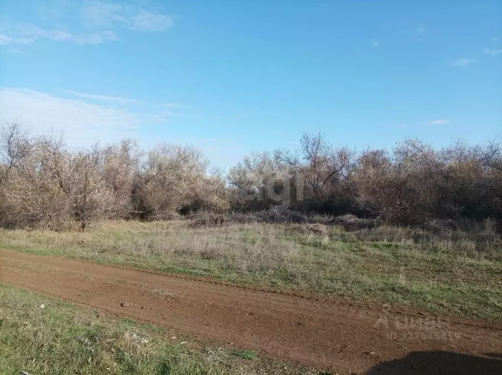 Участок в Крым, Феодосия пер. Казацкий (9.6 сот.) - Фото 1