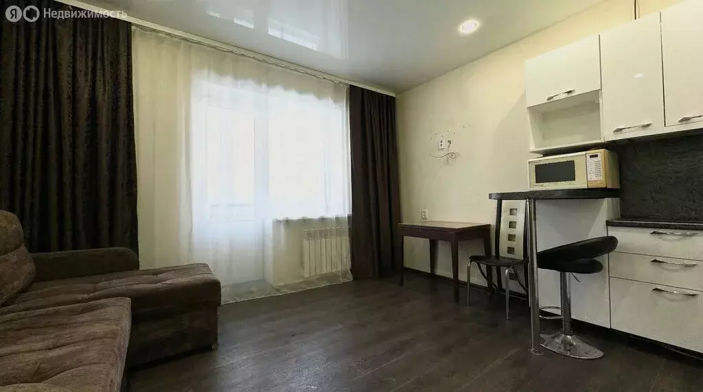 Квартира-студия: село Чигири, Лесная улица, 80/1 (22 м) - Фото 1