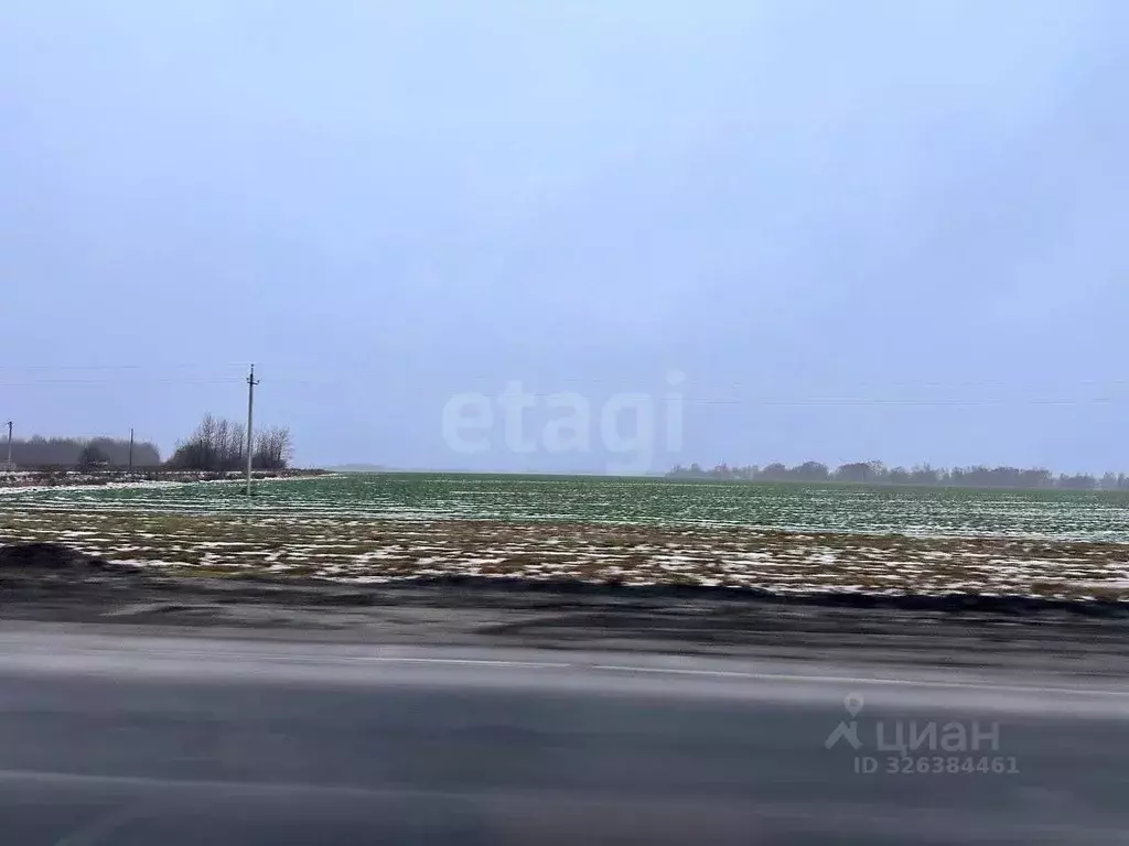 Участок в Ярославская область, Тутаевский муниципальный округ, ... - Фото 1