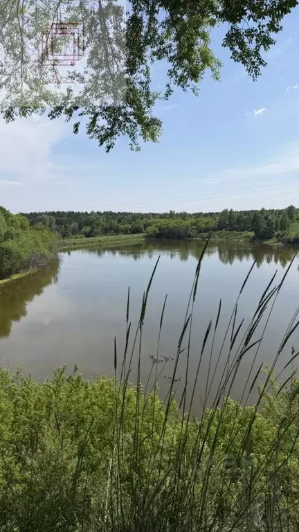 Участок в Алтайский край, Барнаул Дружба СНТ, 23/22 (3.0 сот.) - Фото 2