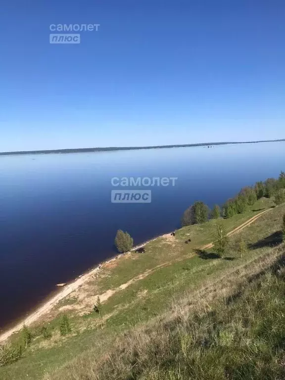 Дом в Чувашия, Моргаушский муниципальный округ, Ильинское с/пос  (56 ... - Фото 1