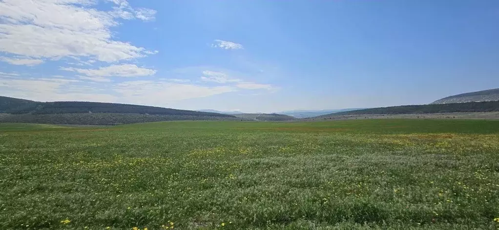 Участок в Севастополь Балаклавский р-н, Терновский муниципальный ... - Фото 1