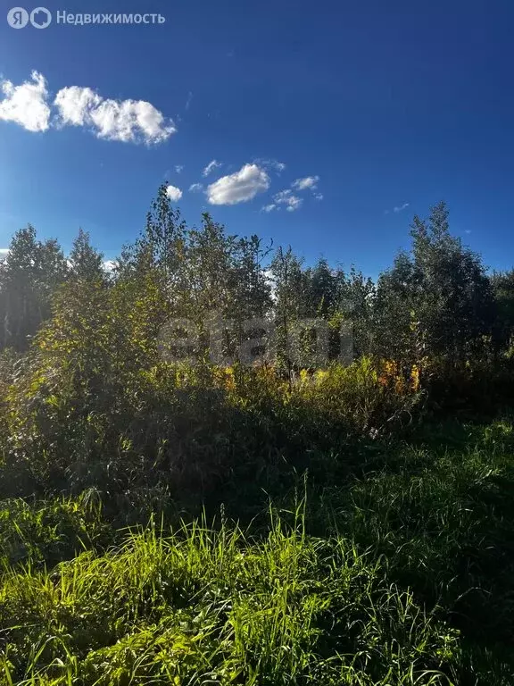 Участок в село Артыбаш, Глухариная улица (9.9 м) - Фото 2
