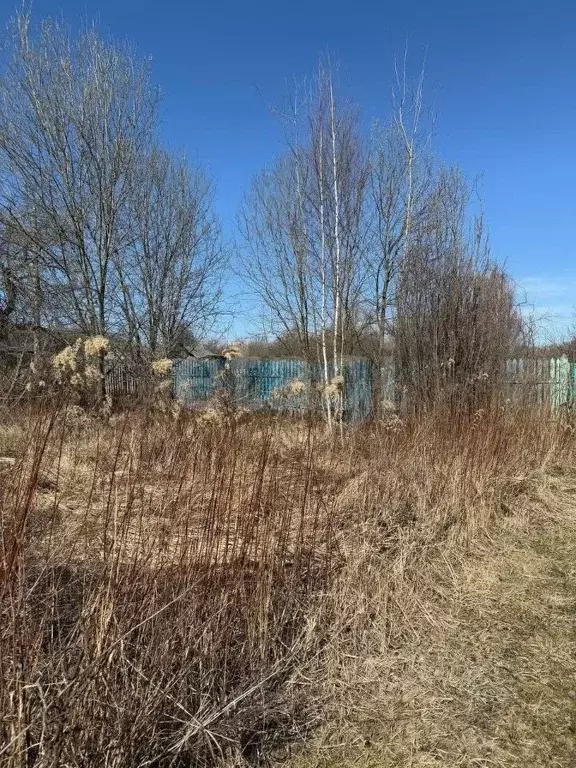 Участок в Тульская область, Щекинский район, Первомайский городское ... - Фото 1