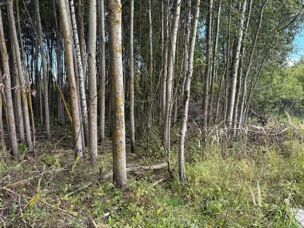 Участок в Московская область, Воскресенск городской округ, д. ... - Фото 0