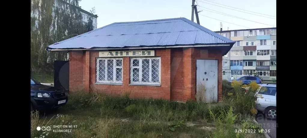 Помещение свободного назначения в Тульская область, Одоев рп ул. 50 ... - Фото 2