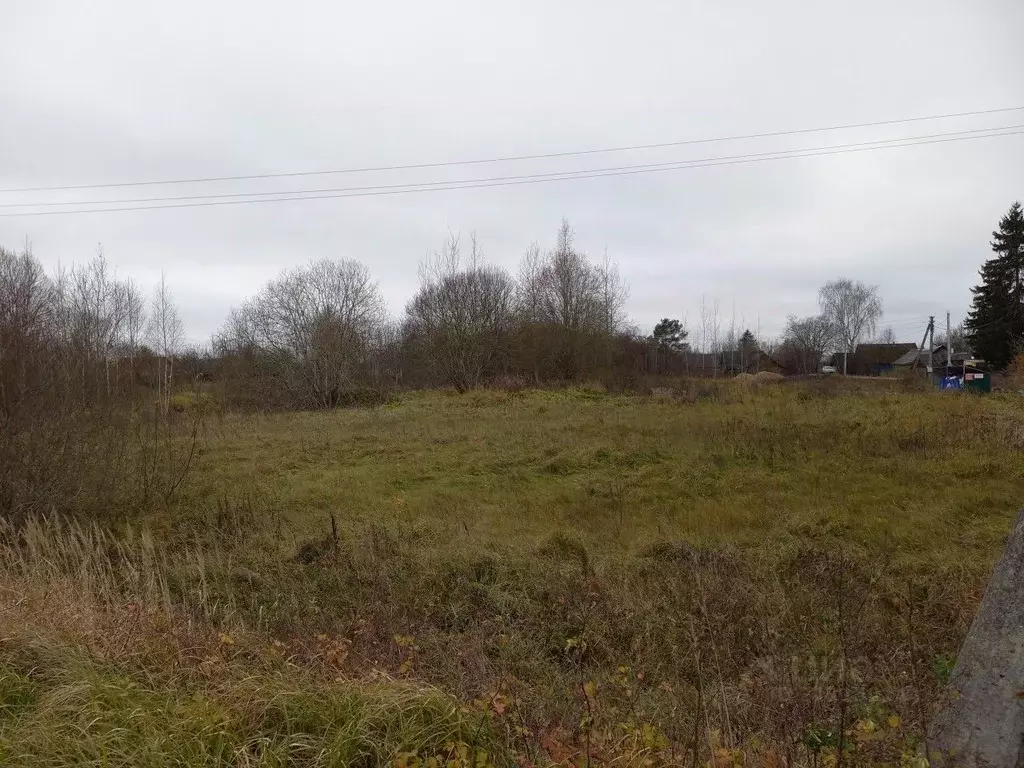 Участок в Псковская область, Псковский район, Логозовская волость, д. ... - Фото 1