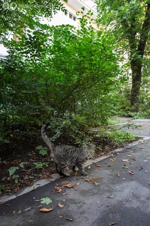 3-комнатная квартира: Москва, Колпачный переулок, 6с4 (60.1 м) - Фото 1