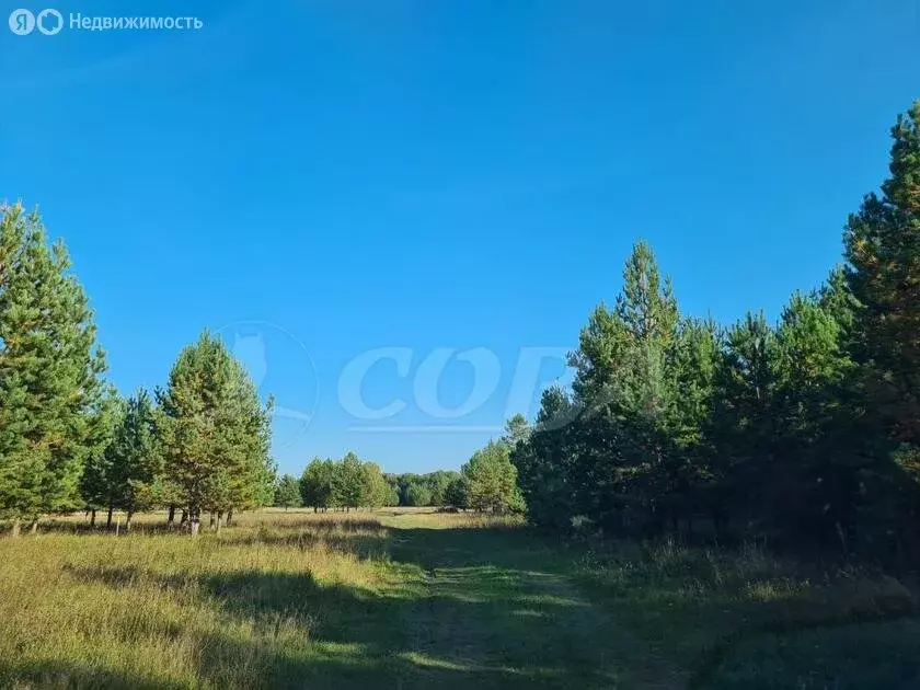 Участок в Нижнетавдинский район, деревня Московка, КП Чехов (7.1 м) - Фото 1