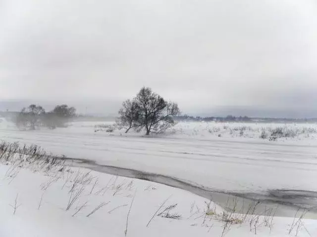 Продается участок в д. Аниково - Фото 1