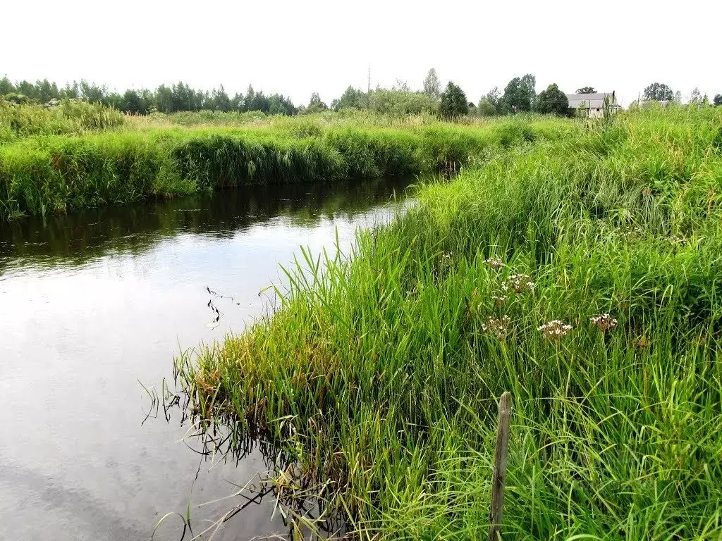 Участок в Тверская область, Кимрский муниципальный округ, д. Одинцово  ... - Фото 1