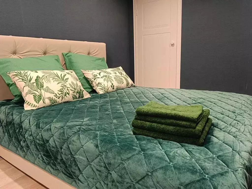 2-к кв. Татарстан, Казань Беломорская ул., 77 (46.0 м) - Фото 2