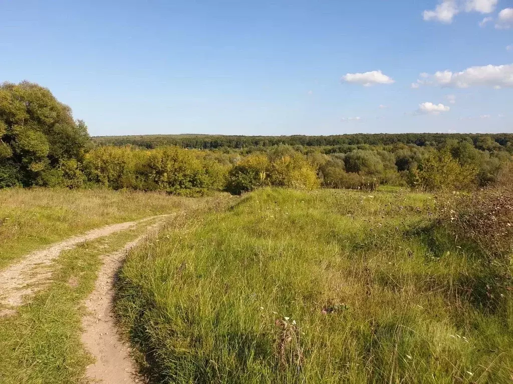 Участок в Калужская область, Тарусский муниципальный округ, Алекино ... - Фото 2