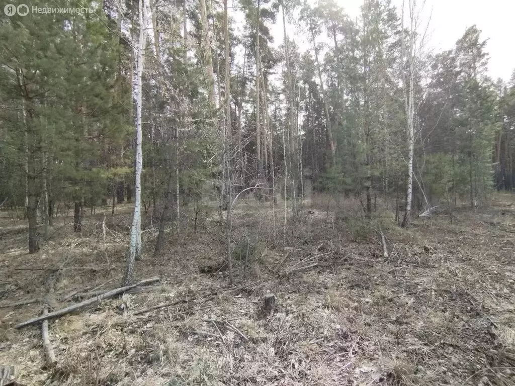 Участок в Курганская область, Кетовский муниципальный округ, село ... - Фото 1