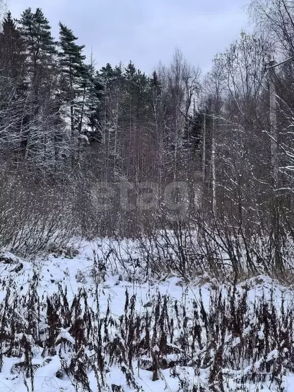 Участок в Московская область, Дмитровский городской округ, Дмитровские ... - Фото 1