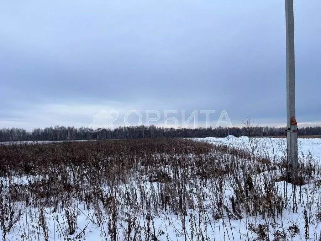 Участок в Тюменская область, Тюменский район, с. Горьковка  (7.7 сот.) - Фото 0