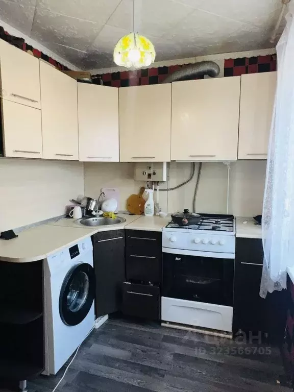 2-к кв. Курганская область, Шадринск ул. Свердлова, 87 (40.8 м) - Фото 2