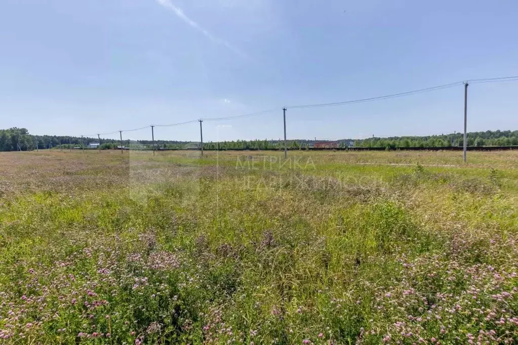 Участок в Тюменская область, Тюменский район, с. Кулига  (6.0 сот.) - Фото 1