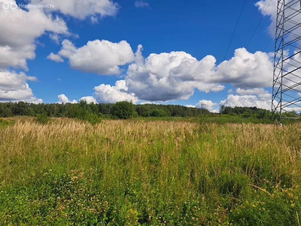 Участок в Московская область, городской округ Солнечногорск, СНТ ... - Фото 1