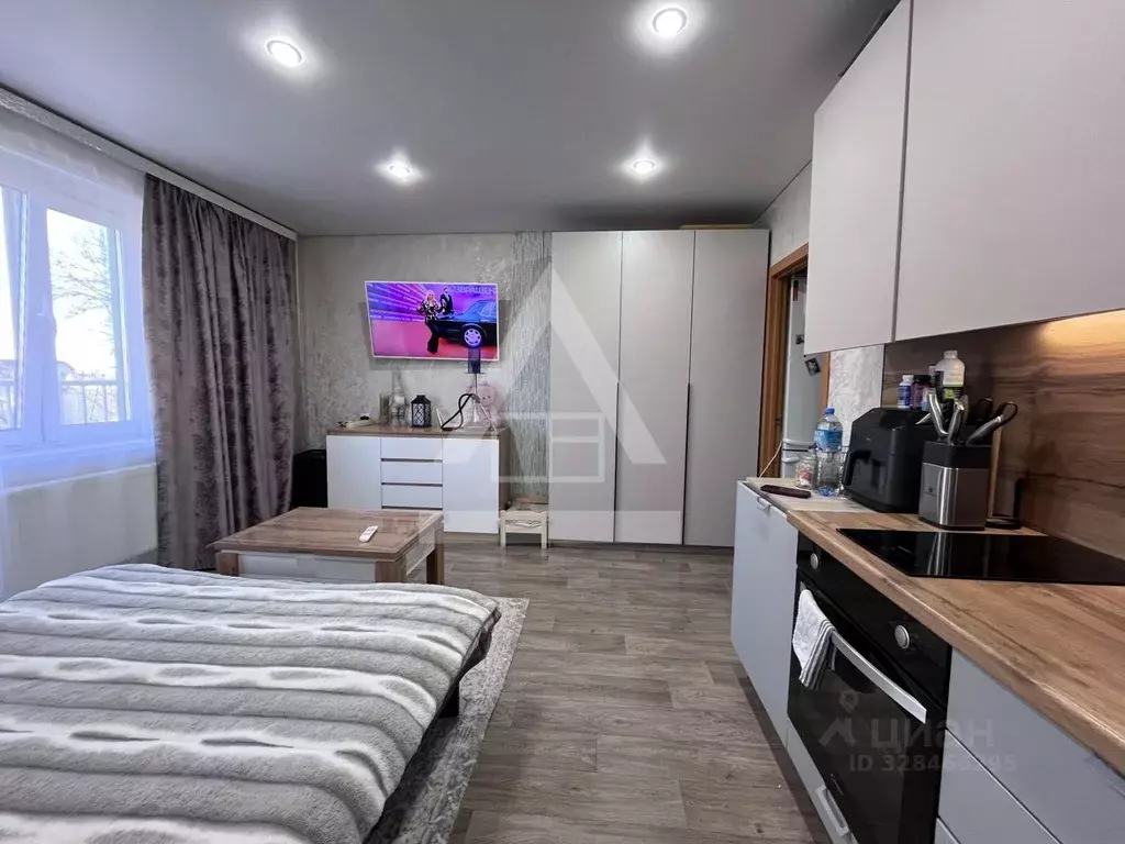 1-к кв. Челябинская область, Коркино ул. В. Терешковой, 29А (24.4 м) - Фото 2