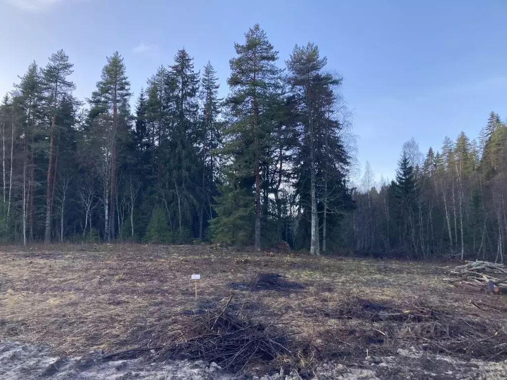 Участок в Карелия, Лахденпохский муниципальный округ, Куркиекское ... - Фото 2