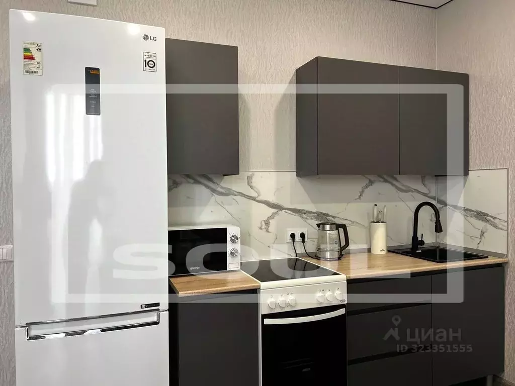 Студия Ленинградская область, Всеволожский район, Заневское городское ... - Фото 1