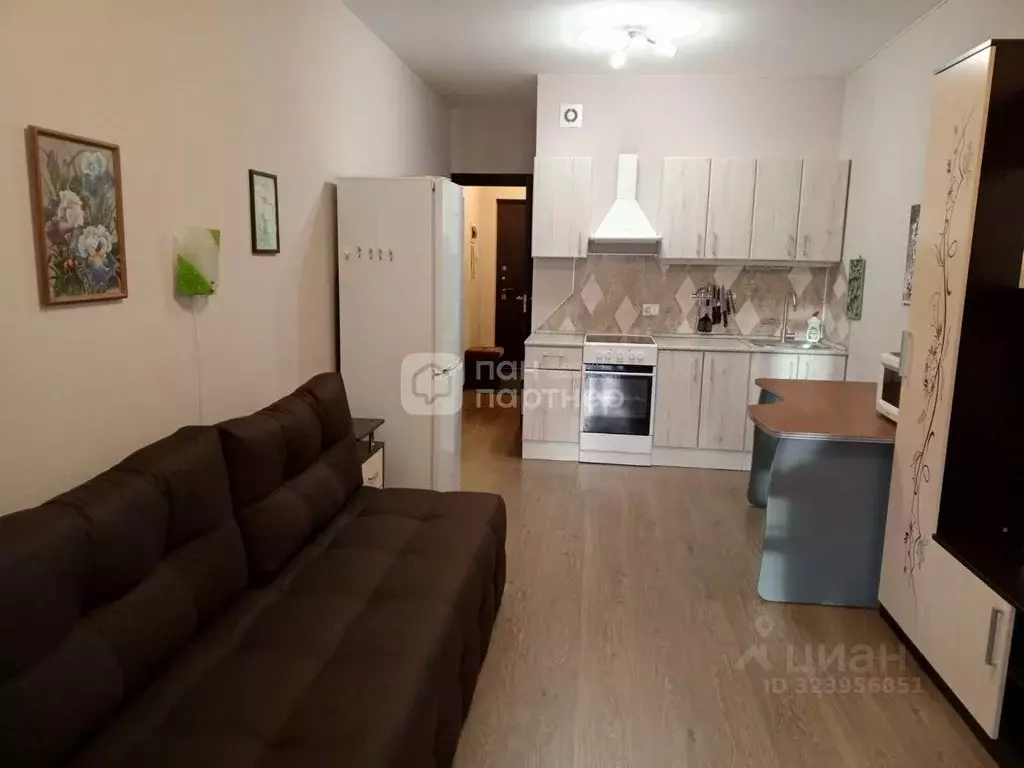 Студия Санкт-Петербург ул. Летчика Лихолетова, 14к2 (26.0 м) - Фото 1